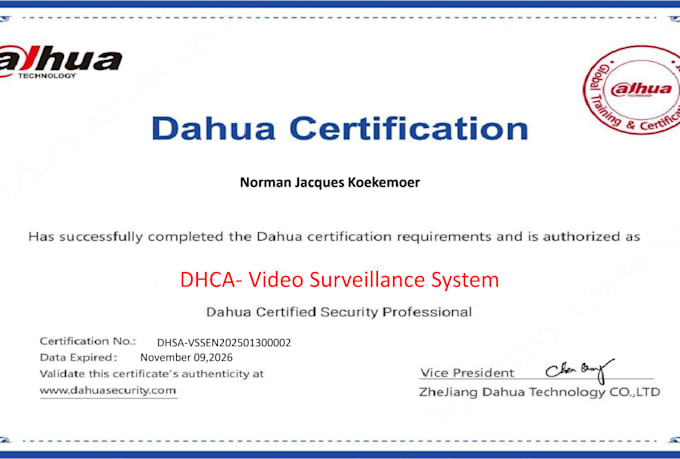 provide remote technical support for cctv hikvision and dahua systems